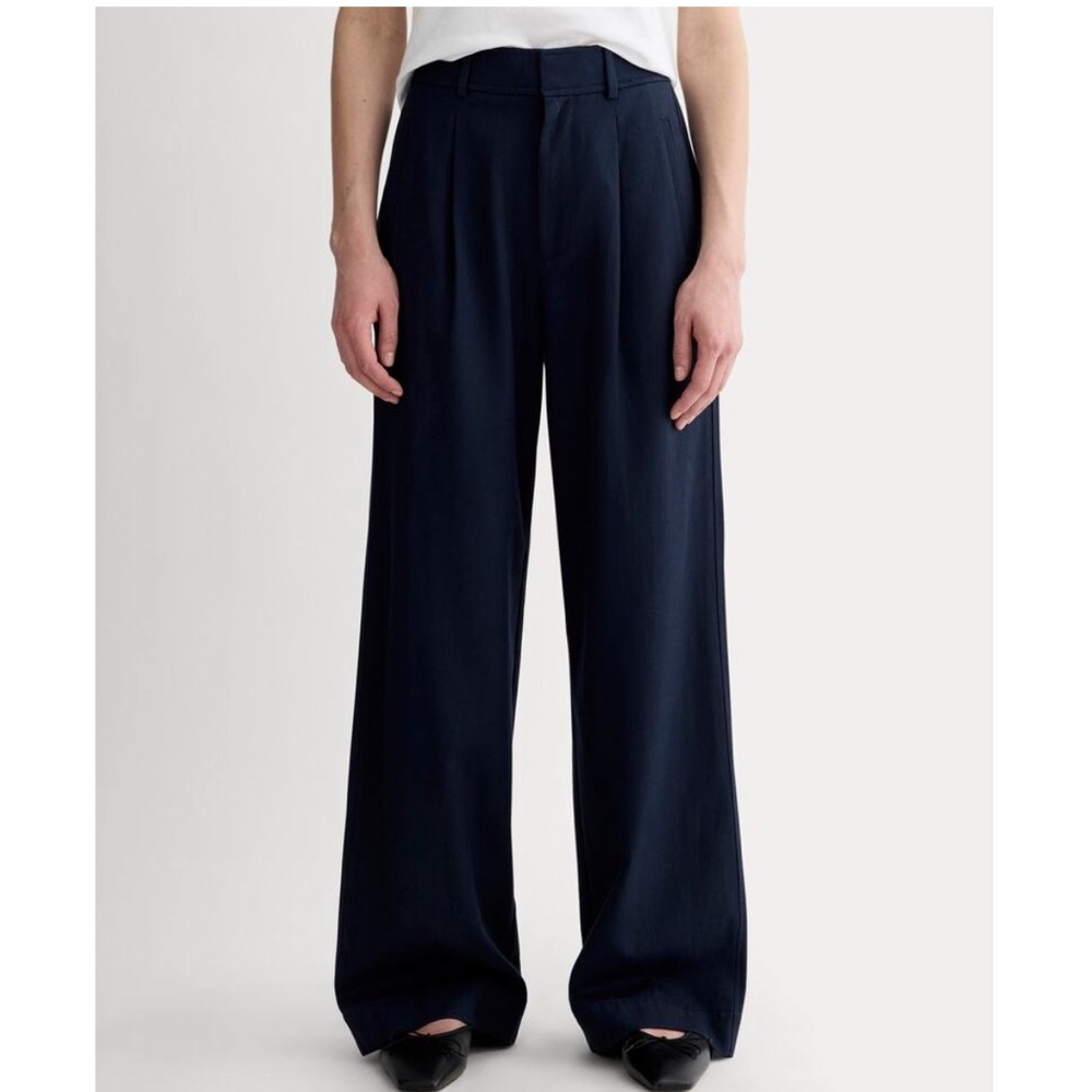 Everlane The Draper Pleated Pant